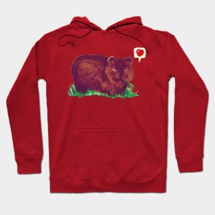 Wombat Love - Cute Cartoon Wombat Hoodie